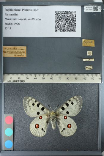 Media type: image;   Entomology 175359